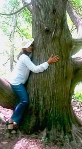 Doctor Priya sitting on the branch of a tree with her arms wrapped around the tree's trunk