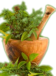 medicinal herbal in a mortar with a pestal